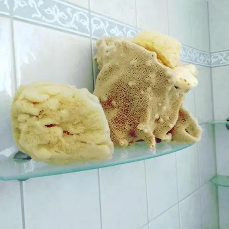 Larisa, Park View 公寓 拉里萨